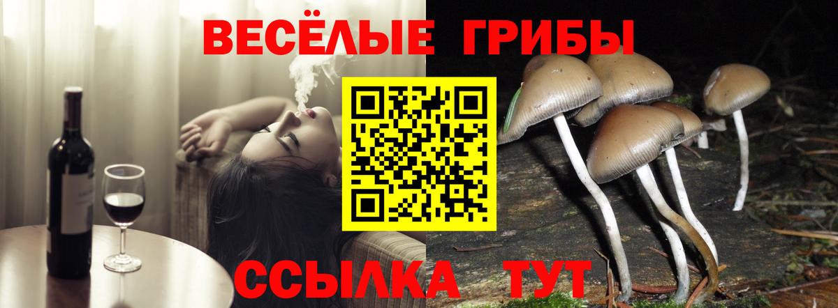 Псилоцибиновые грибы Magic Shrooms  Галлюциногенные грибы Magic Shrooms  купить  сайты  Старая Русса  Вход с VPN 